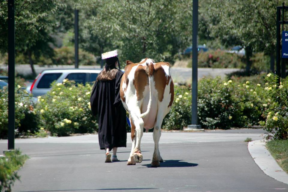 1010268_10200745209164972_1284229688_n